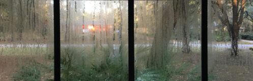 Condensation on windows in a humid home