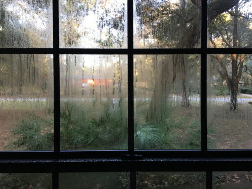 Condensation on windows in a humid home